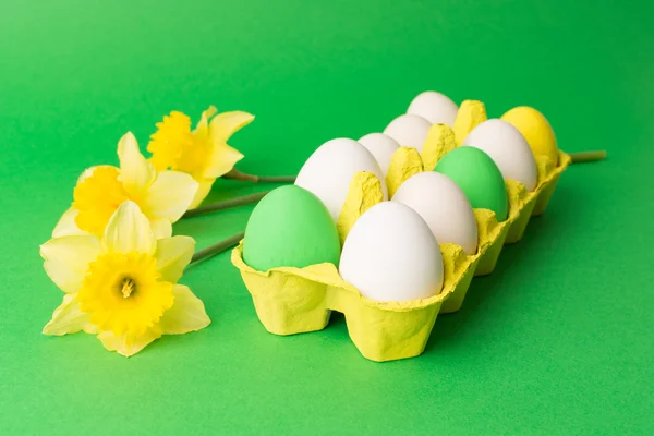 Easter eggs in carton and yellow narcissus flowers — Stock Photo, Image