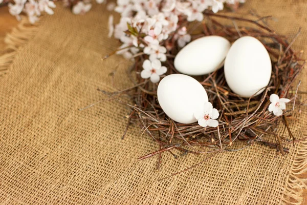 Uova di Pasqua bianche in un nido con fiori primaverili — Foto Stock