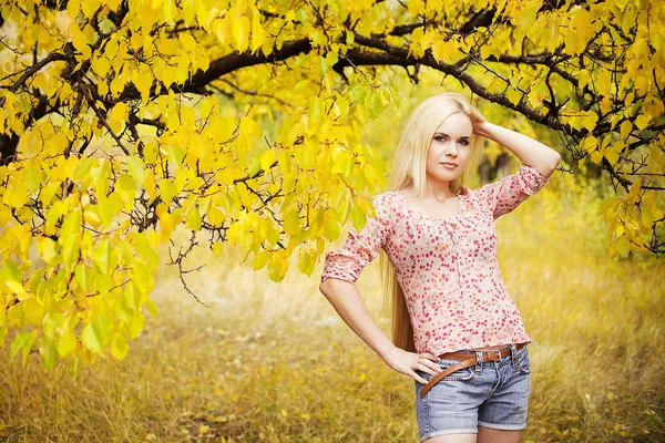 Linda menina loira de cabelos compridos no parque de outono. ao ar livre sh — Fotografia de Stock