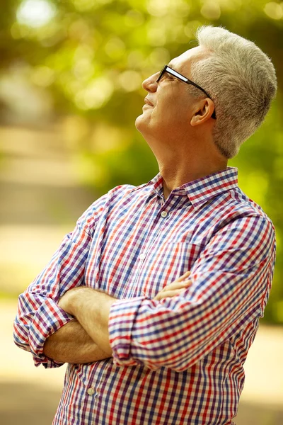 Successful man concept. Portrait of a smiling happy mature (old)