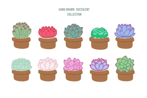 Set von Hand gezeichnet isoliert verschiedene bunte Sukkulenten — Stockvektor