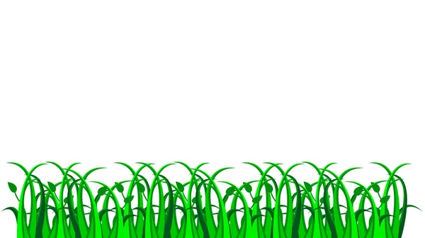 Gras, vector — Stockvector