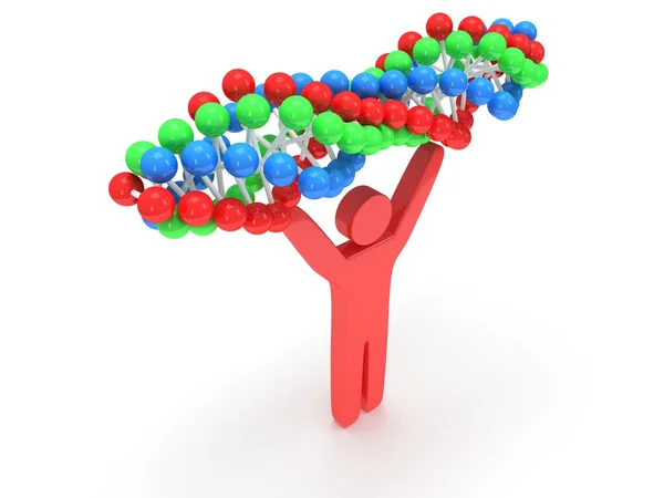 Uomo rosso con catena del DNA. 3D . — Foto Stock