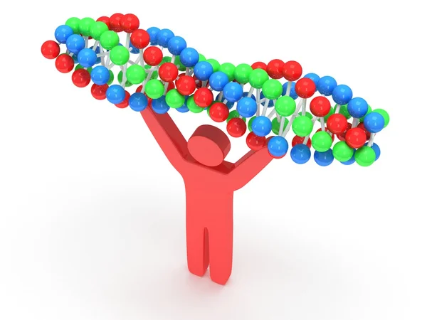 Red man with DNA chain. 3D. — Stock Photo, Image