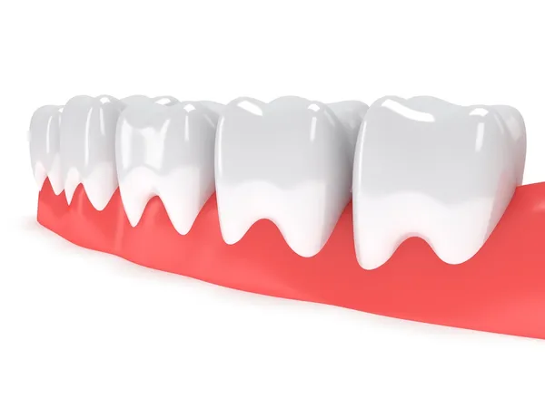 Tänder på tandkött isolerade på vit baksida. — Stockfoto