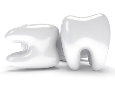 Beyaz arkasında izole dişler.