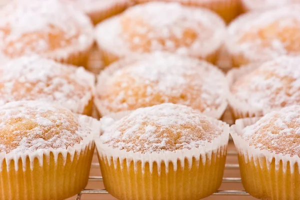 Gebakken cupcakes met afstoffen van poedersuiker bovenop. — Stockfoto