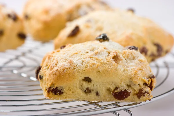 Scones de frutas recém-assados em um rack de resfriamento . Imagens De Bancos De Imagens