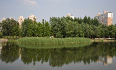 kentsel göl yansıma