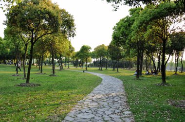 yol ve orman