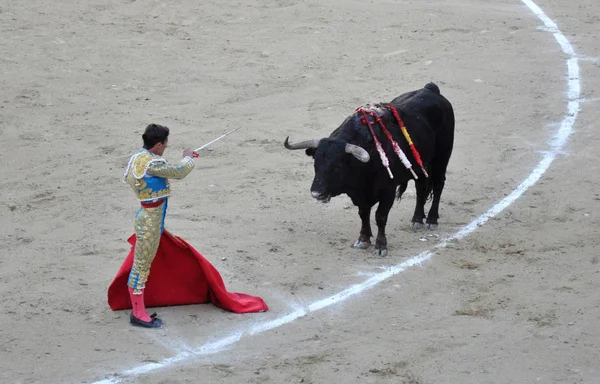 Bullfight — Stock Photo, Image