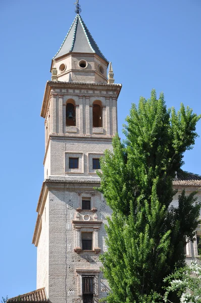 Alberi e tetto della chiesa — Foto Stock