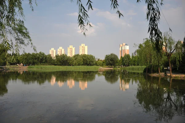 Urban lake reflection — Stock Photo, Image