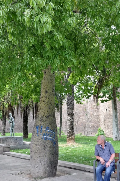 The elderly and the tree — Stock Photo, Image