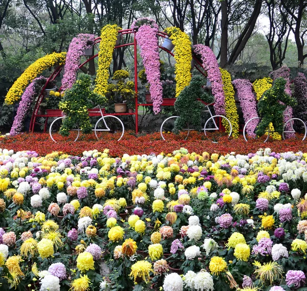 Paesaggio del giardino — Foto Stock