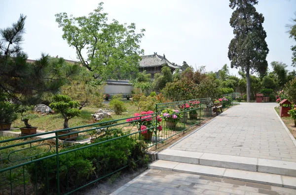 Vista sul giardino — Foto Stock