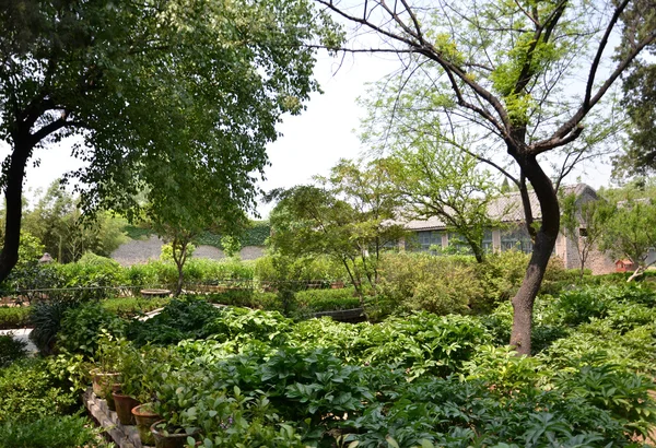 Vistas al jardín — Foto de Stock