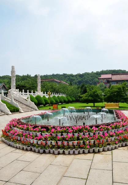 Flower landscape — Stock Photo, Image