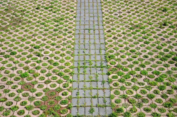 Baksteen weg — Stockfoto