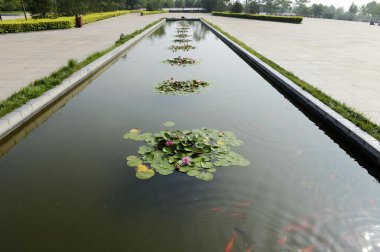 Kırmızı lotus ve gölet