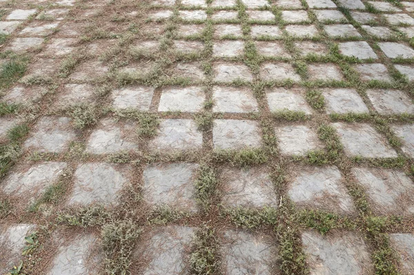 Baksteen weg — Stockfoto