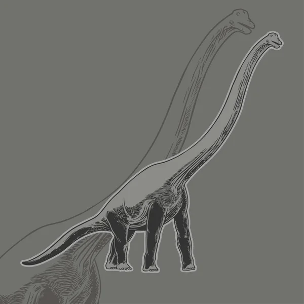 Ilustrasi Brontosaur Vektor Dari Dinosaurus Dan Tipografi Yang Digambar Dengan - Stok Vektor