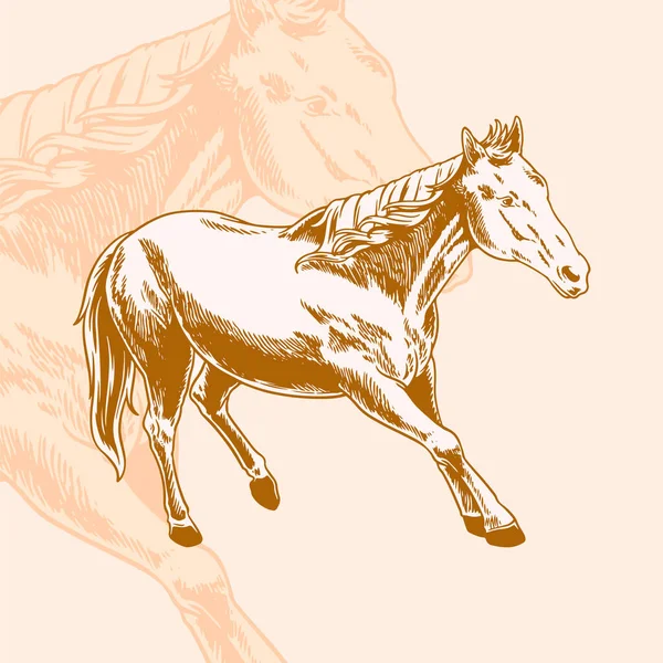 Zvířata Koňských Farem Dupáním Kopyt Stylový Symbol Umělecké Dílo Tetování — Stockový vektor