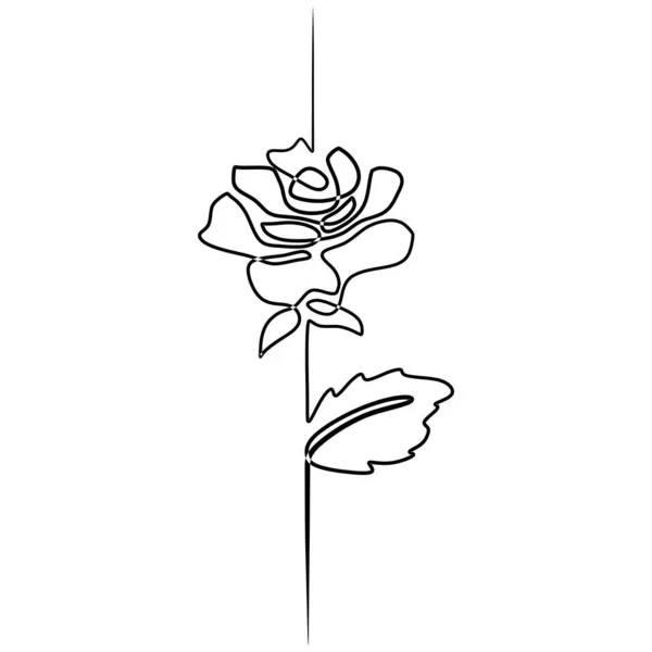 Diseño Rosa Una Línea Ilustración Vectorial Estilo Minimalista Dibujado Mano — Archivo Imágenes Vectoriales