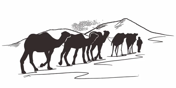 在沙漠中牵着骆驼的商队 骆驼在沙漠中行走 大篷车穿过沙丘 — 图库矢量图片