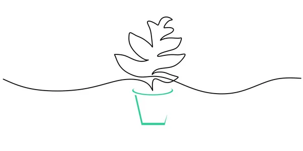 A Lápis Desenho Contínuo Do Grupo Do Vetor De Plantas Preto E Branco Da  Casa Do Esboço Do Cacto Bonito Isoladas No Fundo Branco P Foto de Stock -  Imagem de potenciômetro