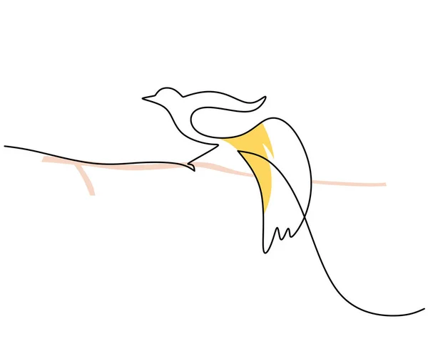One Continuous Single Line Cendrawasih Famous Bird Line Art Isolated — стоковий вектор