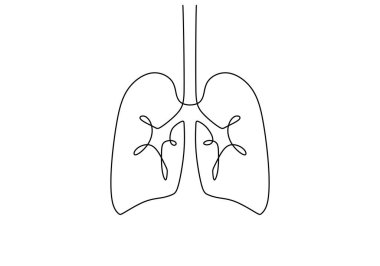 Aralıksız tek bir akciğer çizgisi beyaz arka planda izole edilmiş..