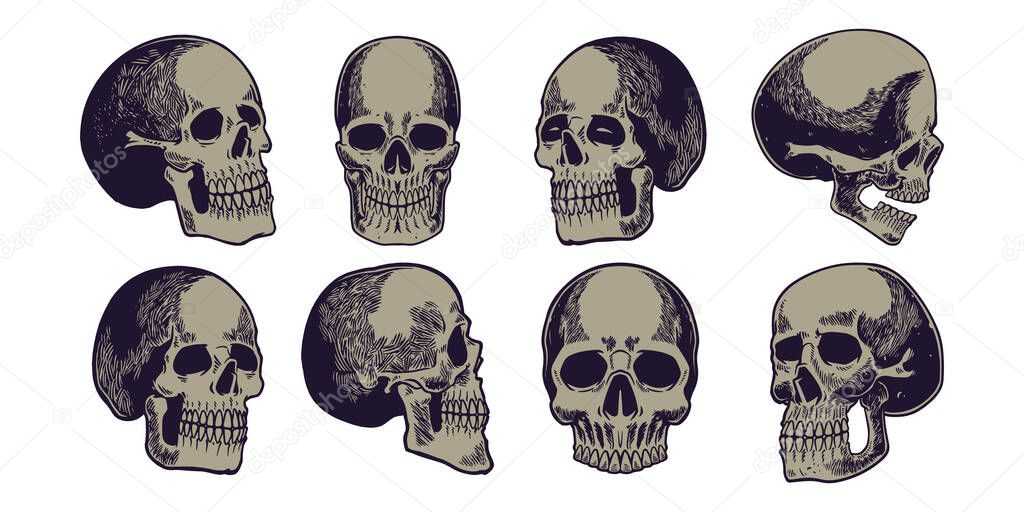 Set of hand drawn elements, eight human skulls with lower jaws drawn in minimalist and vintage style. Biology education. Isolated image on a white background.