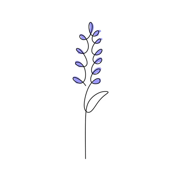Kontinuerlig Enda Linje Lupine Våren Blomma Med Blå Färg Isolerad — Stock vektor