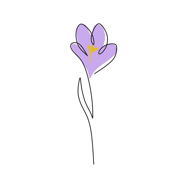 Eine Durchgehende Einzelne Linie Von Crocus Spring Blume Mit Blauer — Stockvektor