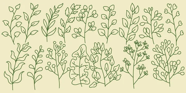 Sechzehn Handgezeichnete Set Florale Botanische Farnwälder Mit Eleganten Blättern Für — Stockvektor
