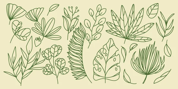 Vijftien Hand Tekening Set Bloemen Botanische Varens Bos Elementen Met — Stockvector