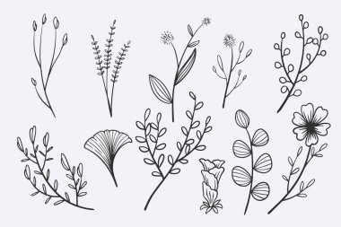 flower leaves doodle hand drawn vector illustration set