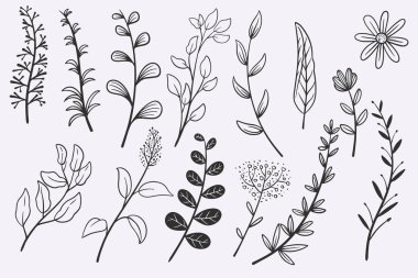 flower leaves doodle hand drawn vector illustration set