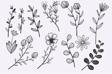 flower leaves doodle hand drawn vector illustration set