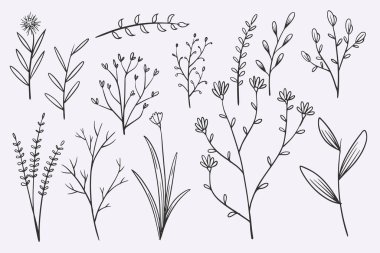 flower leaves doodle hand drawn vector illustration set