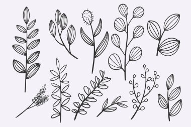 flower leaves doodle hand drawn vector illustration set