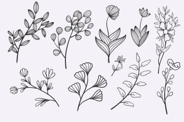 flower leaves doodle hand drawn vector illustration set