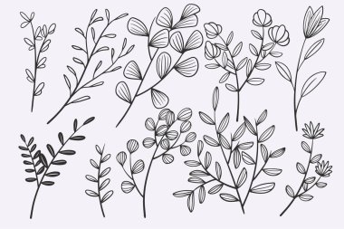 flower leaves doodle hand drawn vector illustration set