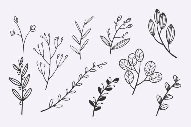 flower leaves doodle hand drawn vector illustration set