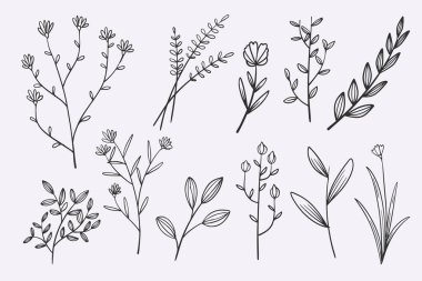 flower leaves doodle hand drawn vector illustration set