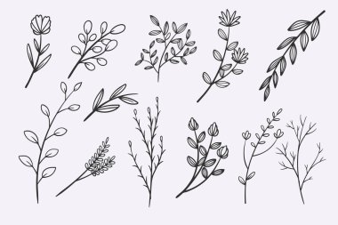 flower leaves doodle hand drawn vector illustration set