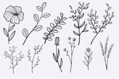 flower leaves doodle hand drawn vector illustration set