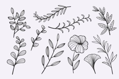 flower leaves doodle hand drawn vector illustration set