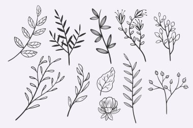 flower leaves doodle hand drawn vector illustration set
